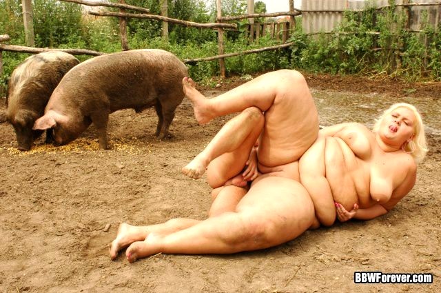 Девушка Занимается Секс С Свиньями